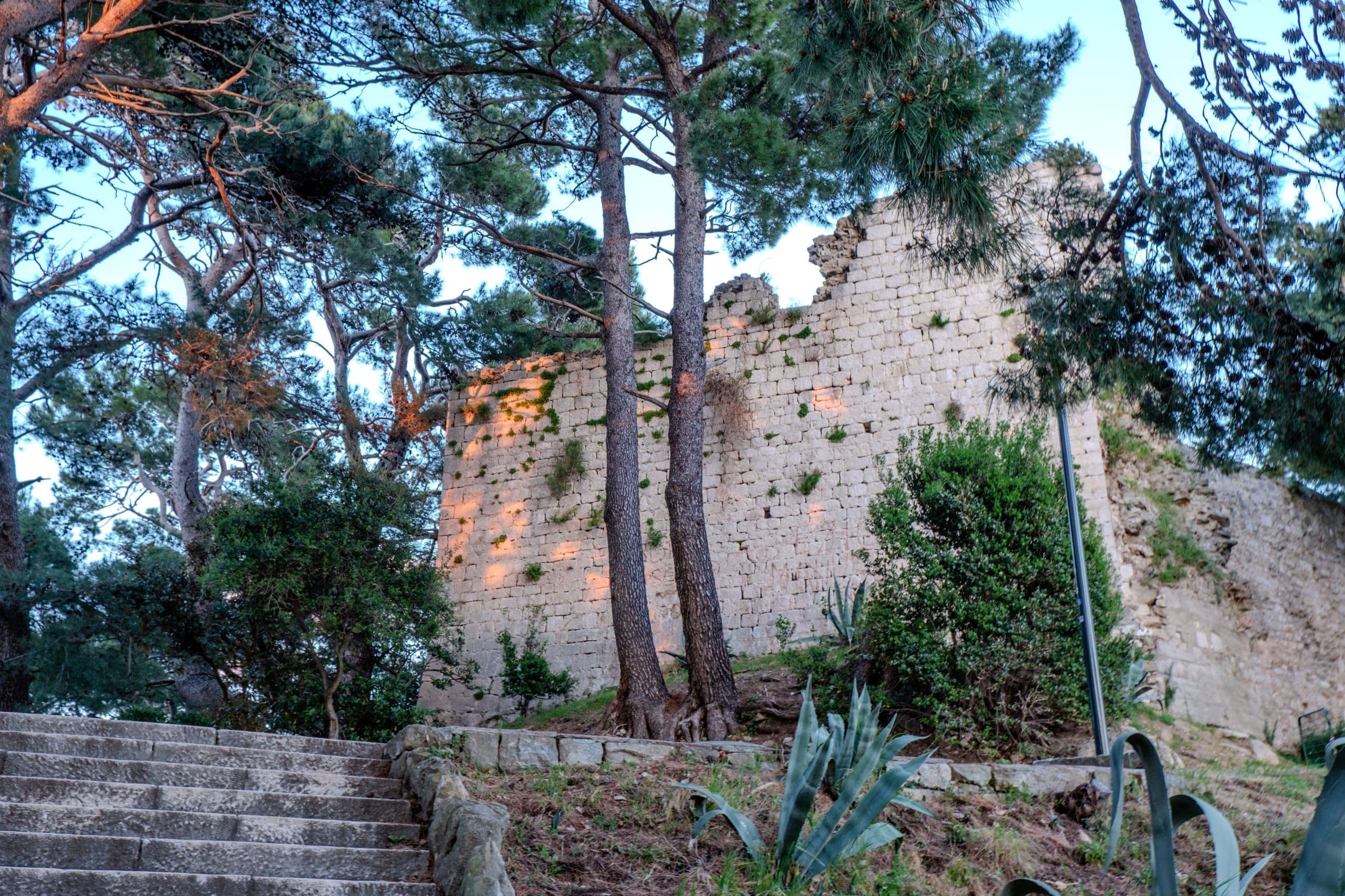 A pine-framed fortress ruin wall in warm late light, with stone steps below.