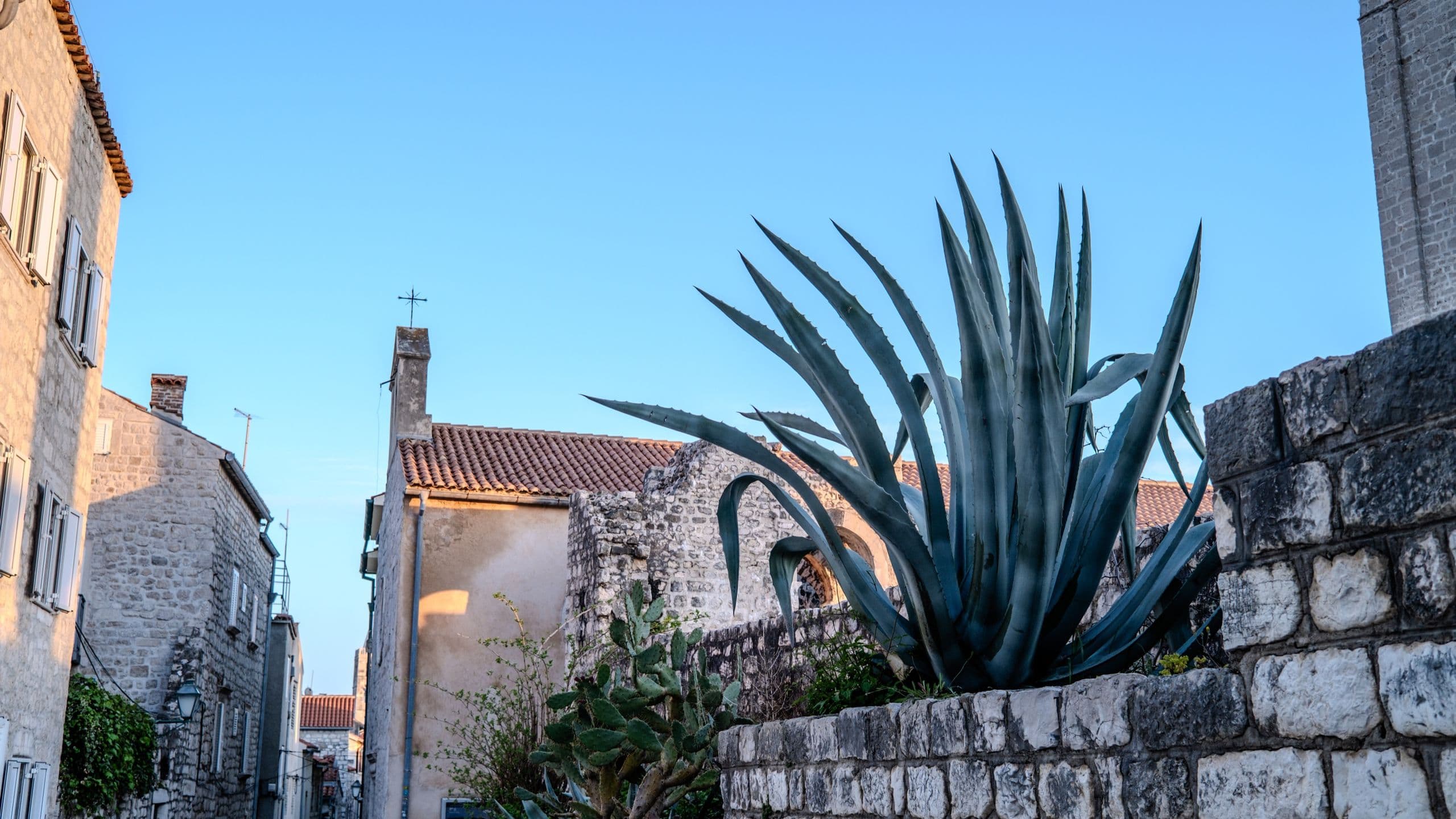 Narrow street in Rab old town opening to the sea, agave in foreground.