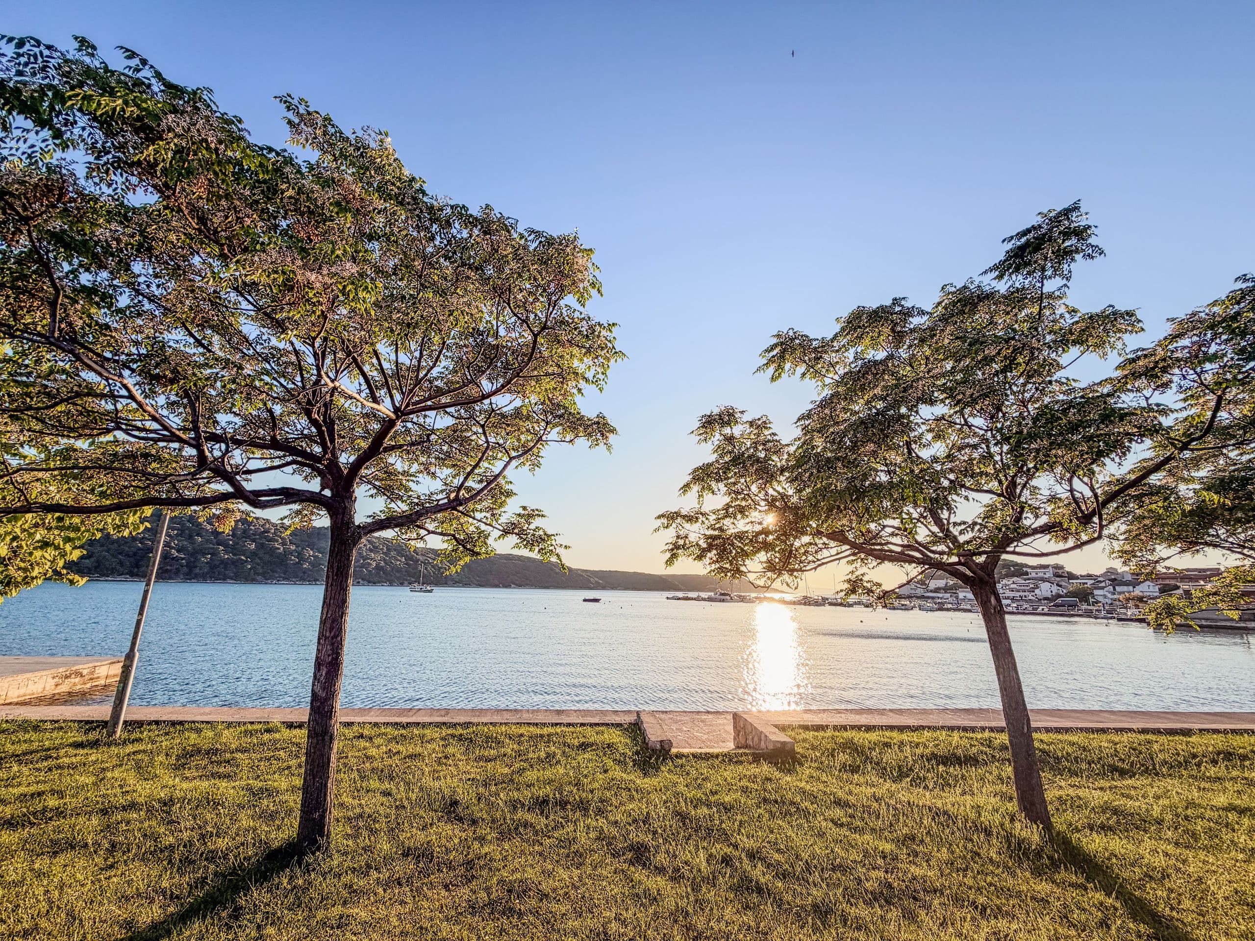 Broadleaf trees framing a quiet Rab bay at last light.
