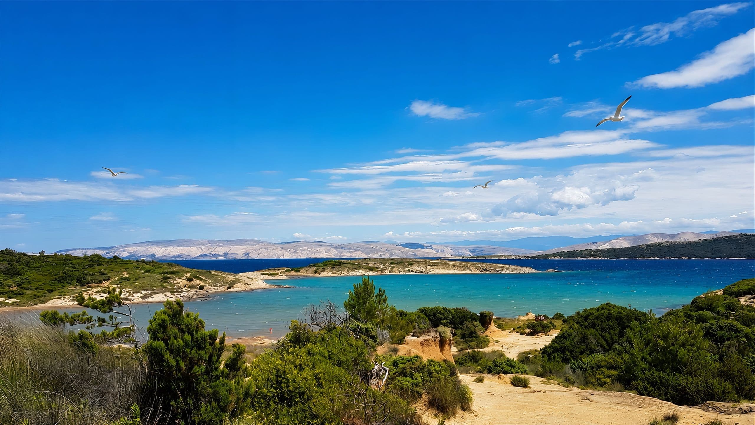 Plaža Ciganka in Lopar, Rab Island.